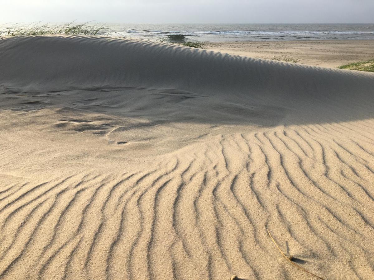 Fijne Studio aan zee per week wissel vrijdag Callantsoog Buitenkant foto