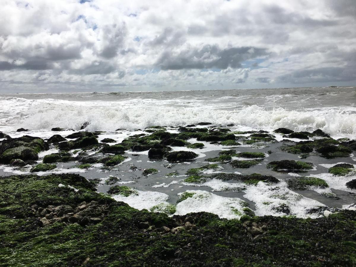 Fijne Studio aan zee per week wissel vrijdag Callantsoog Buitenkant foto