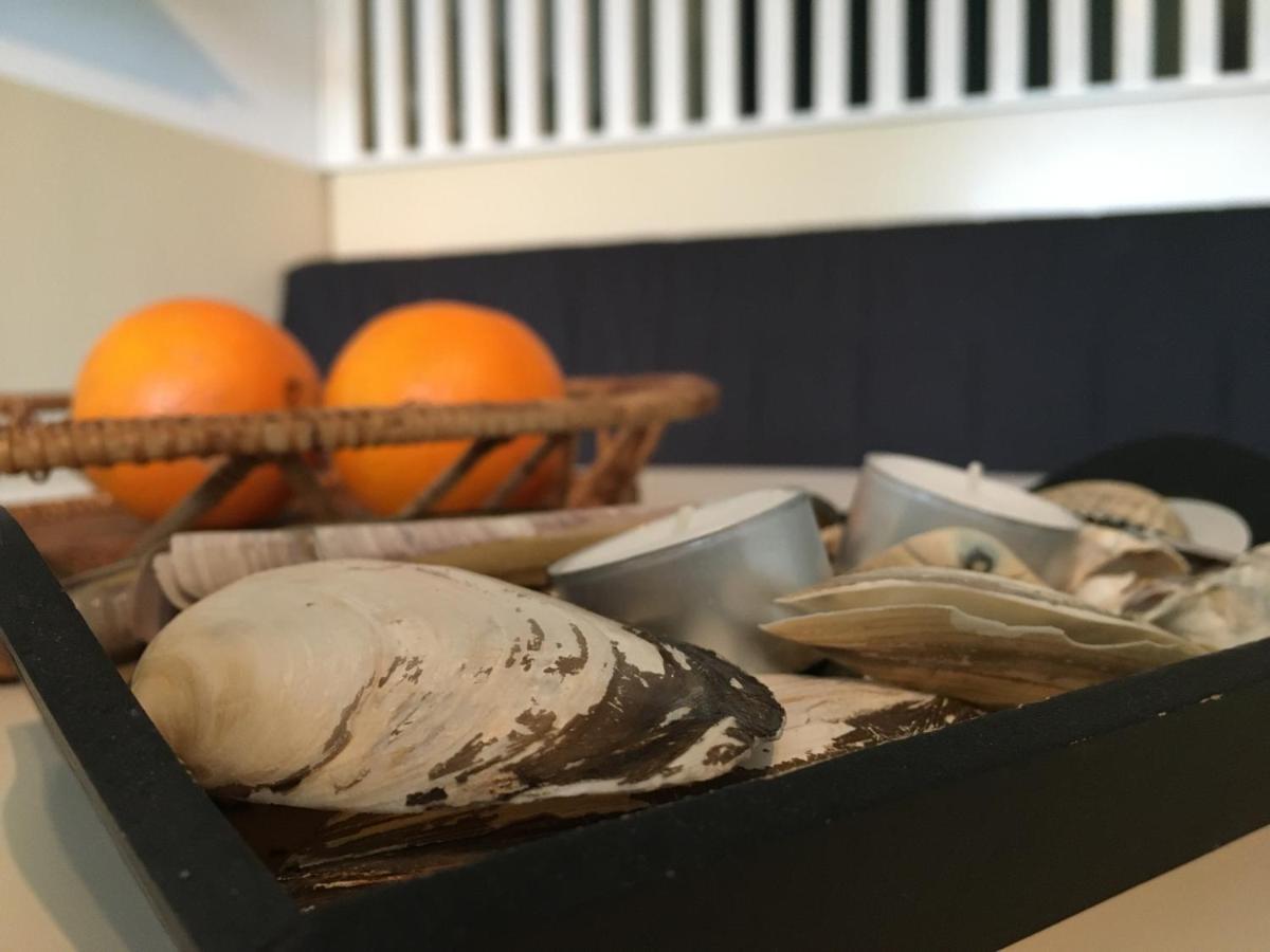 Fijne Studio aan zee per week wissel vrijdag Callantsoog Buitenkant foto